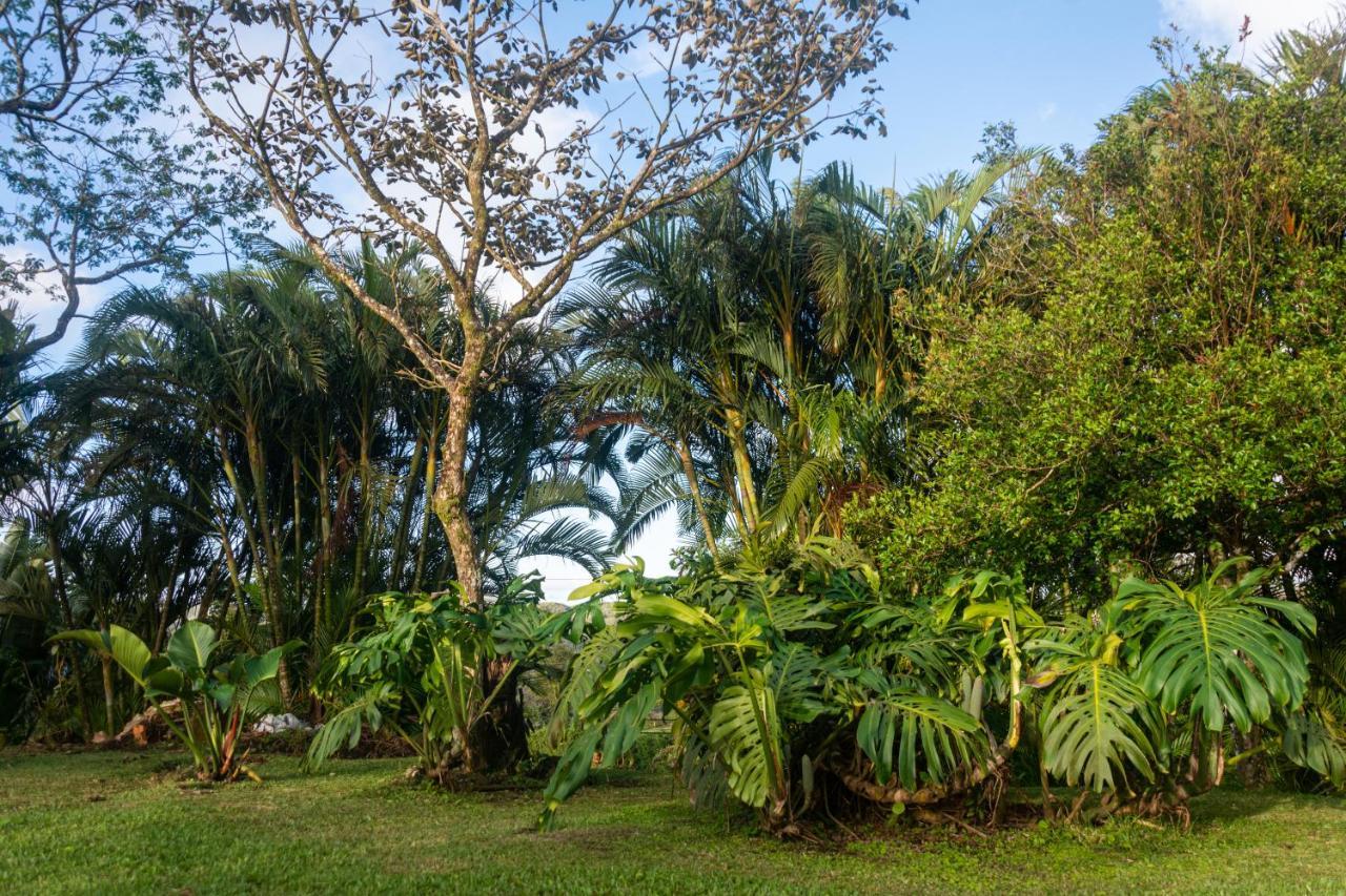 Vista Lago Arenal Piedras Exterior foto