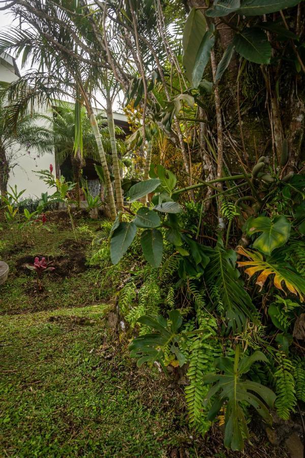 Vista Lago Arenal Piedras Exterior foto